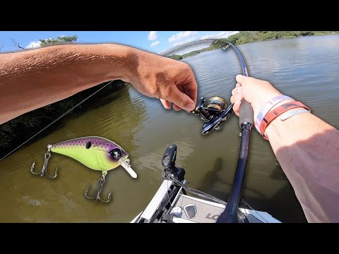 Mini-Trucha Masu “Low Float” (Kokanee) by Toxic Baits | Crankbaits