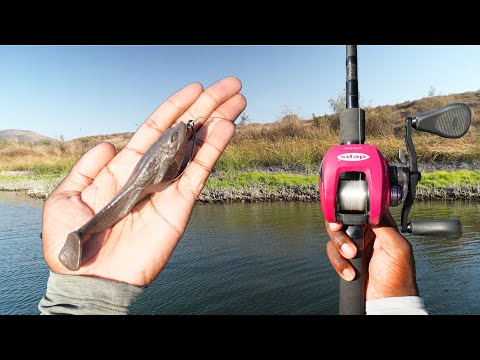 DRT x WCZ Klash9 Low (JOYTHIEF) by Working Class Zero | Swimbaits