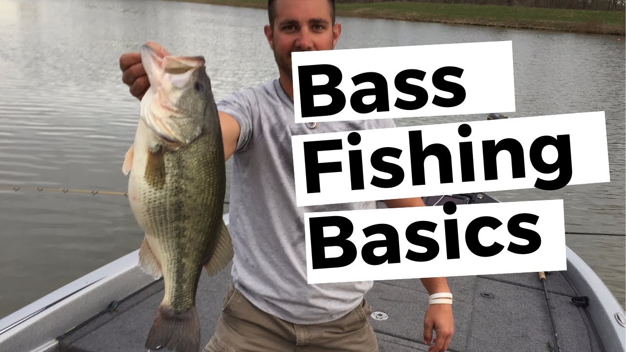 Watch Bass Fishing FOR Beginners - Everything You NEED For $75