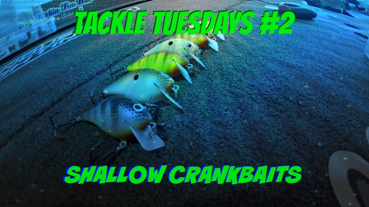 Watch Tackle Tuesdays #2 ~ Crankbaits (Bass Fishing Shallow Crankbaits ...