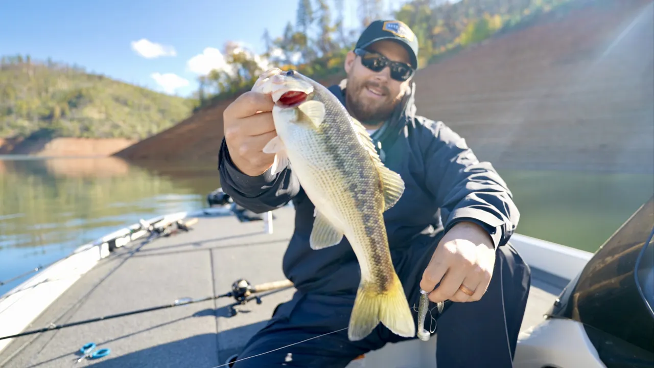 Summer Bass Fishing: Where Bass Go And How To Catch Them! 