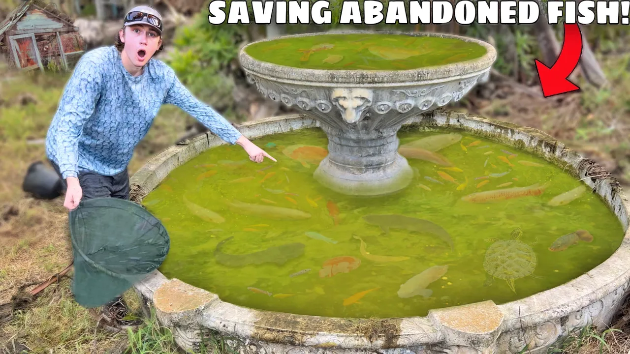 Watch Saving Abandoned AQUARIUM FISH From GREEN SLIME POND! Video on ...