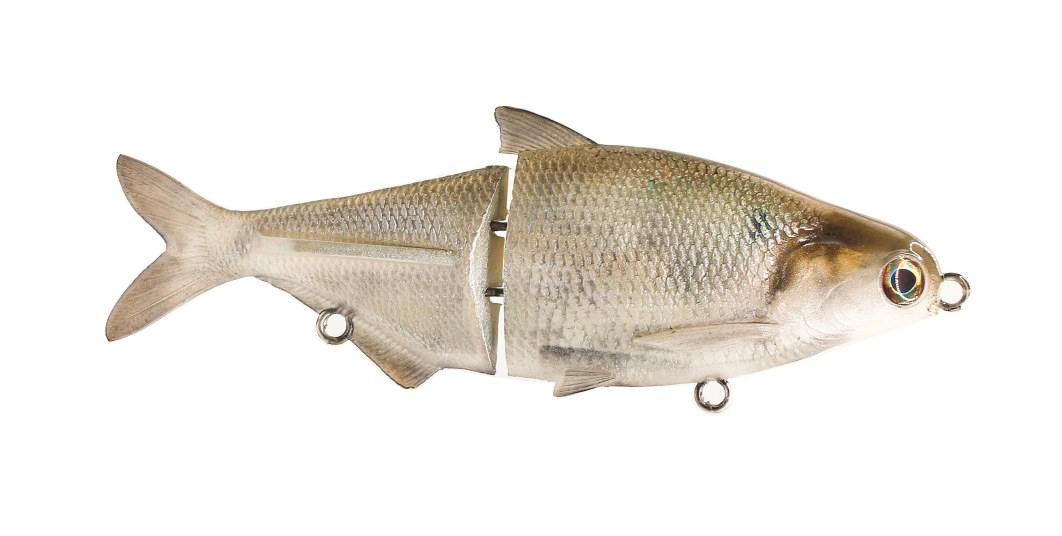 z7 Glide Shad by Fish 30acre - Glide Baits on