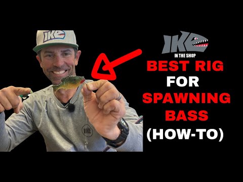 Watch Best Rig for Spawning Bass (How-To) Video on