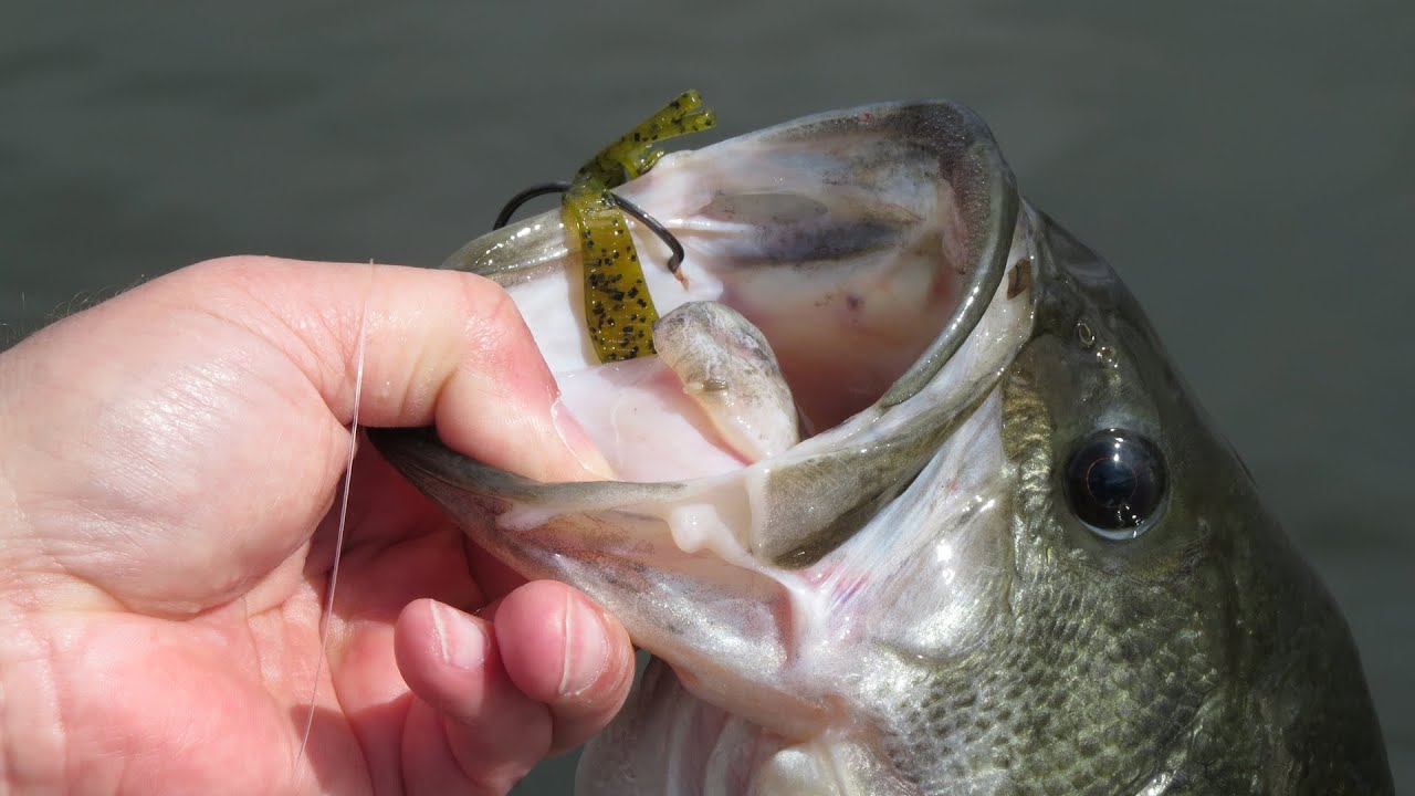 DON'T Complicate SWIM JIGS (They ACTUALLY Ate This) 