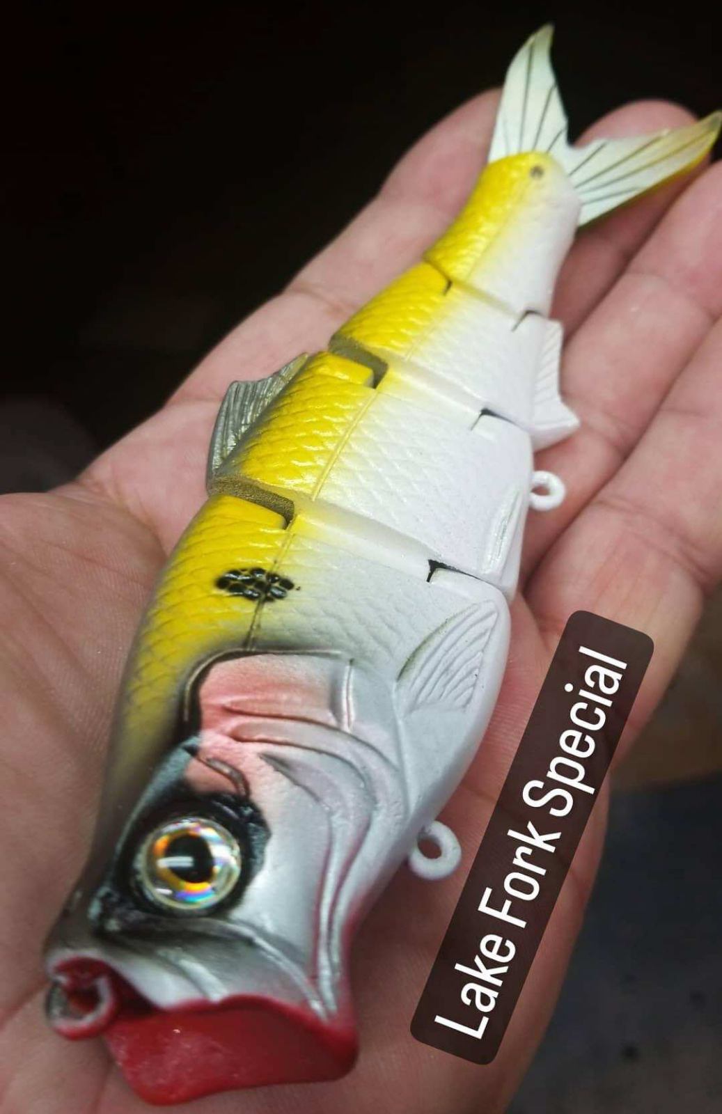 3:16 6'' Popping Freestyle Shad (Pre-Order-Closed) by 316 Lure Co. -  Swimbaits on