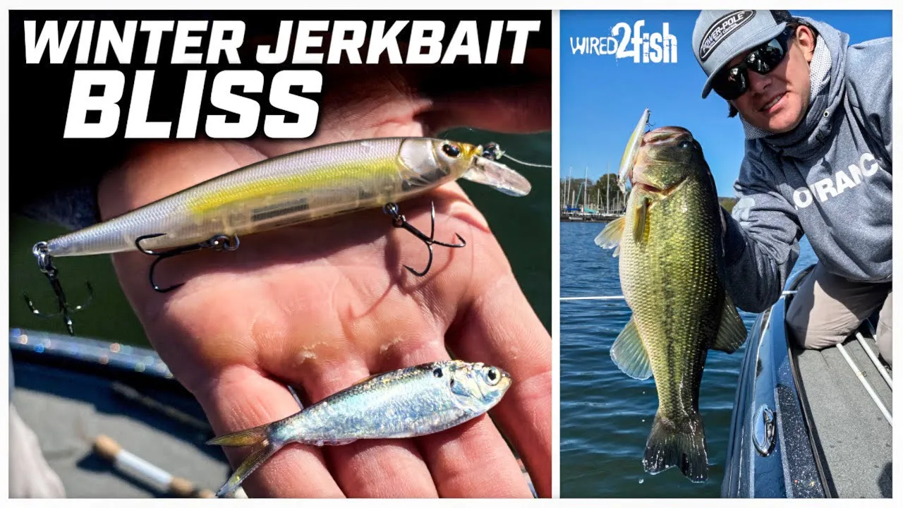 Jacob Wheeler's Guide to Spinnerbait Fishing in the Wind