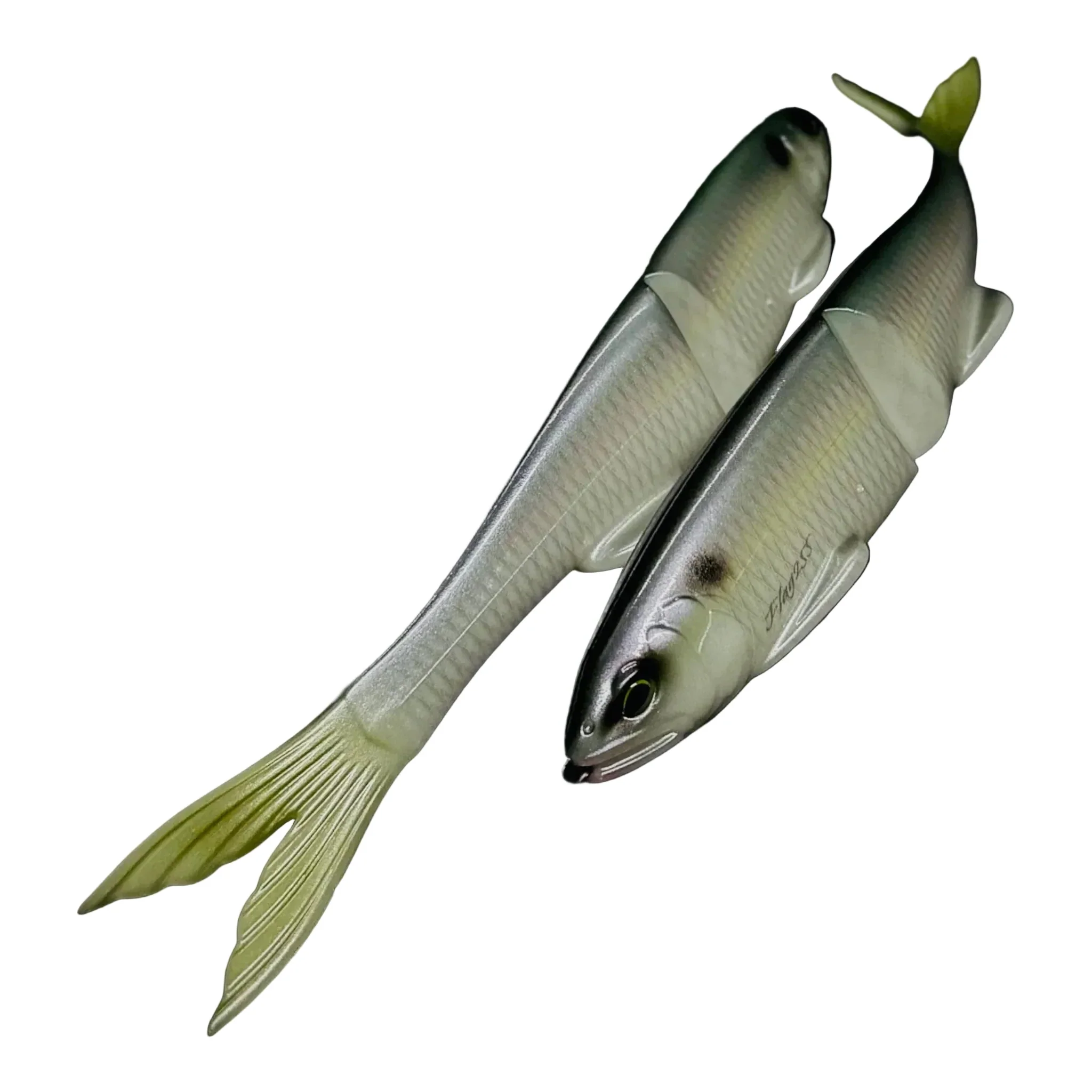 FLAG255 #201 RE RAINBOW TROUT by Grow Design Works | Soft