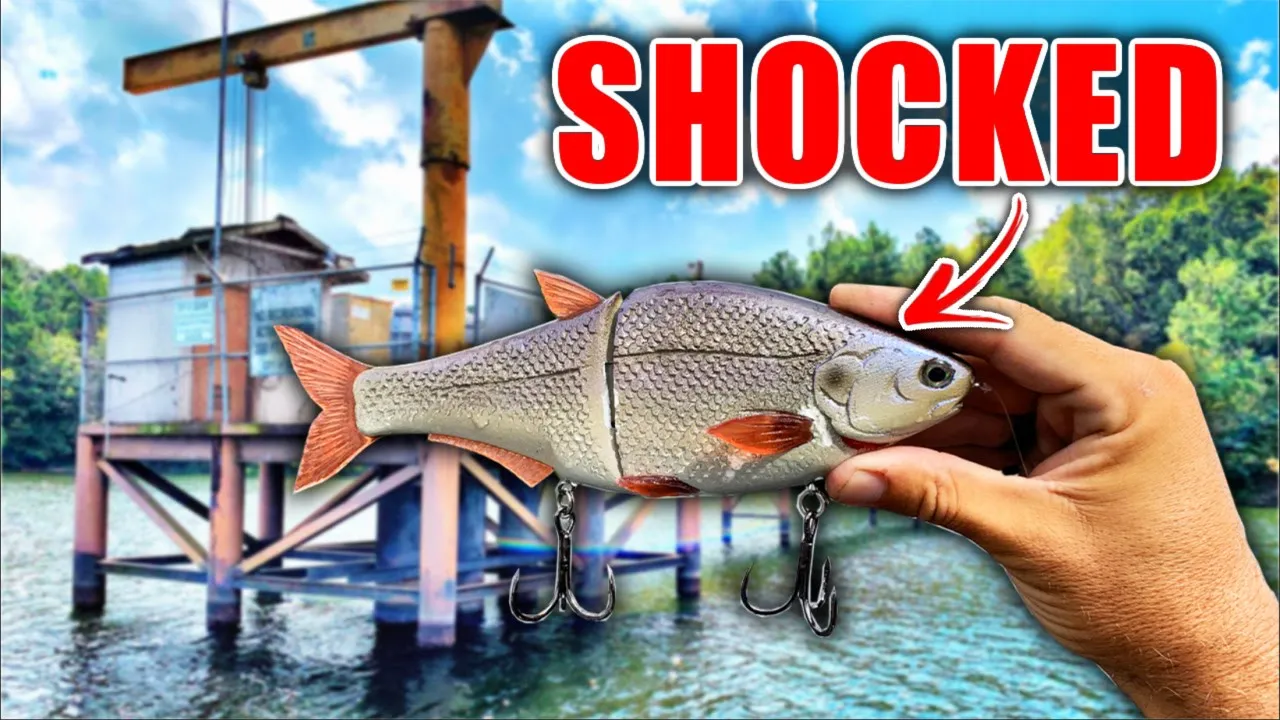 CHEAP vs. EXPENSIVE Swimbaits: UNDERWATER Proof of their Value