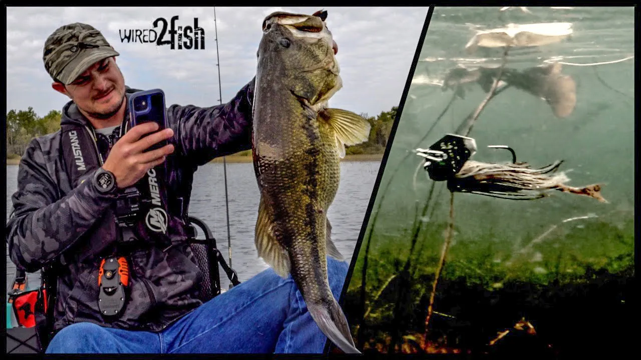 Throwing BIG Bladed ChatterBaits for Fall Bass (My Biggest Of The Year!)