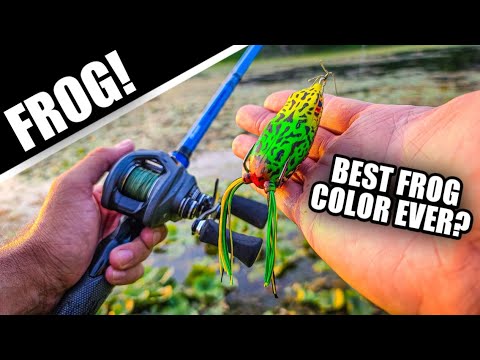 How to Fish Finesse Swimbaits for Suspended Bass 