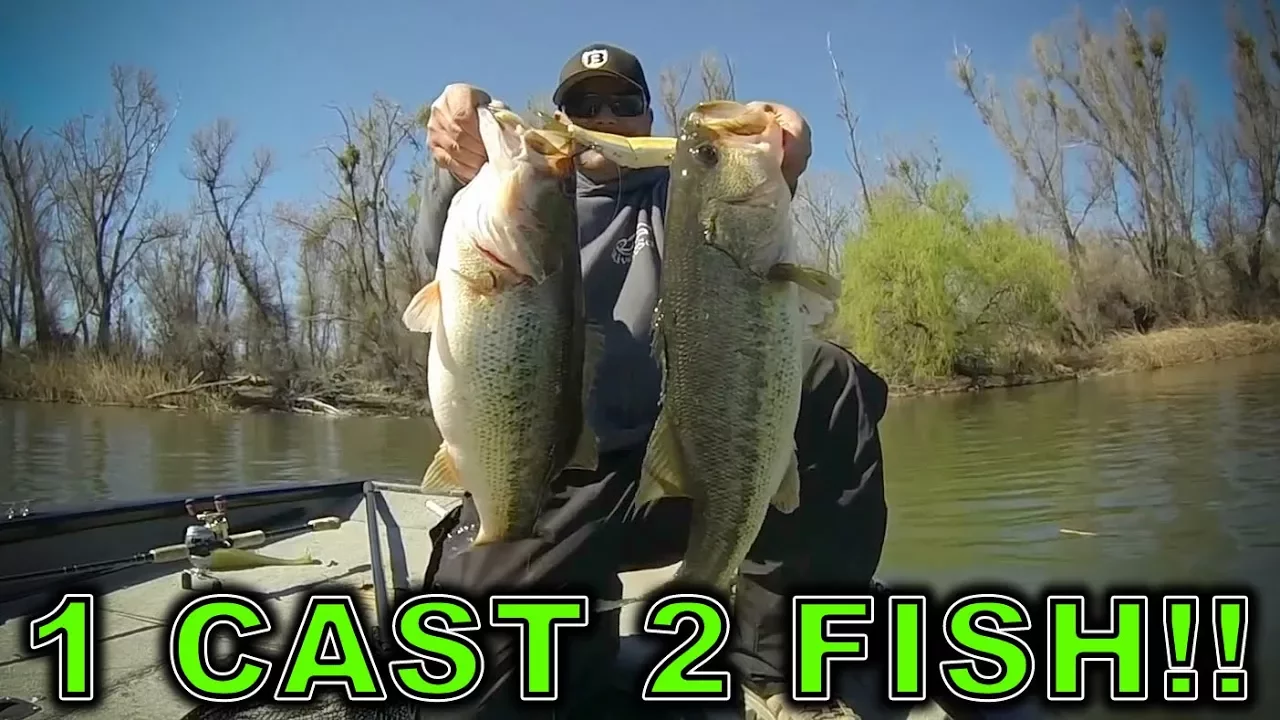 Watch Two GIANT Bass, One Cast!! Craziest Fish Catch EVER! Video on