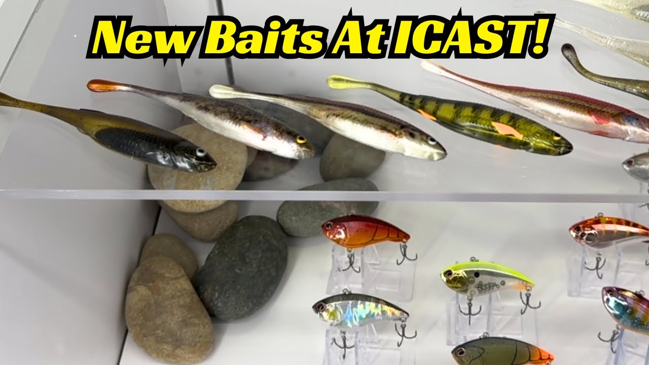 Watch New Products Direct from iCAST 2024! These Will Be Fish Catchers