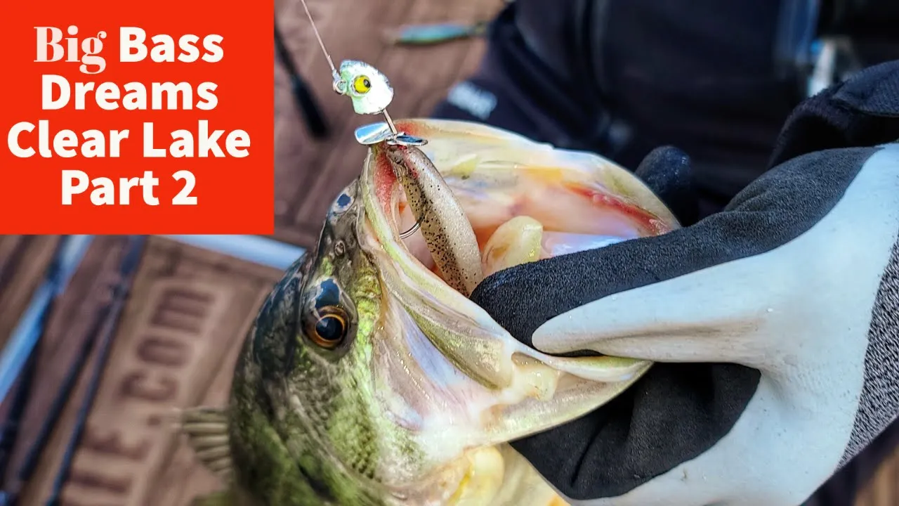 Lure Retrievers: How to Save Money — Tactical Bassin' - Bass