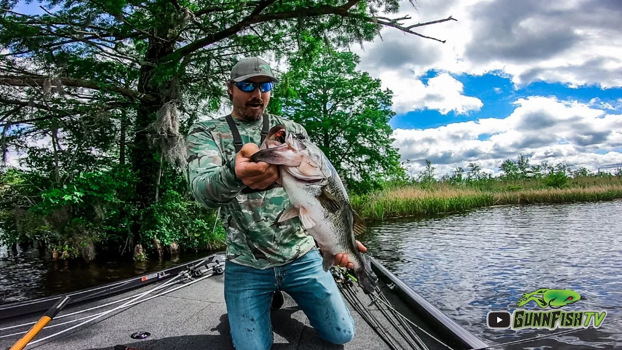 Catching Fish On The CatFish SwimBait PLUS Lure Making Testing Talking 