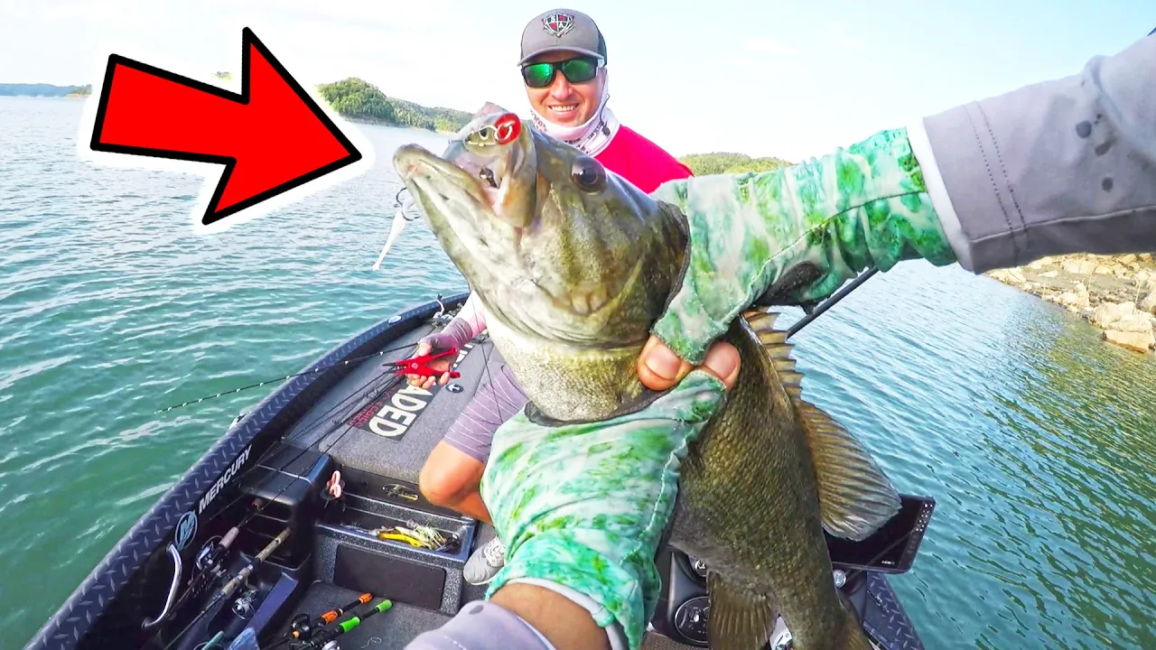 FISHING SWIMBAITS like TOPWATER LURES for SPAWNING BASS (MUST TRY