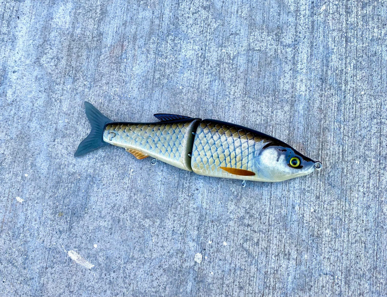 GOLDEN SHINER V1.0