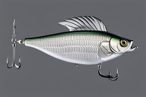 silver-bass-lure-1696221372