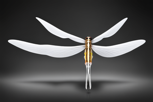 white-dragonfly-lure-1708124928