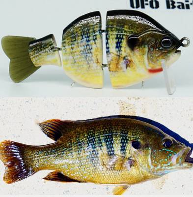 Reelest Imaging Green Sunfish