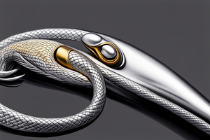 silver-snake-lure-1691091655