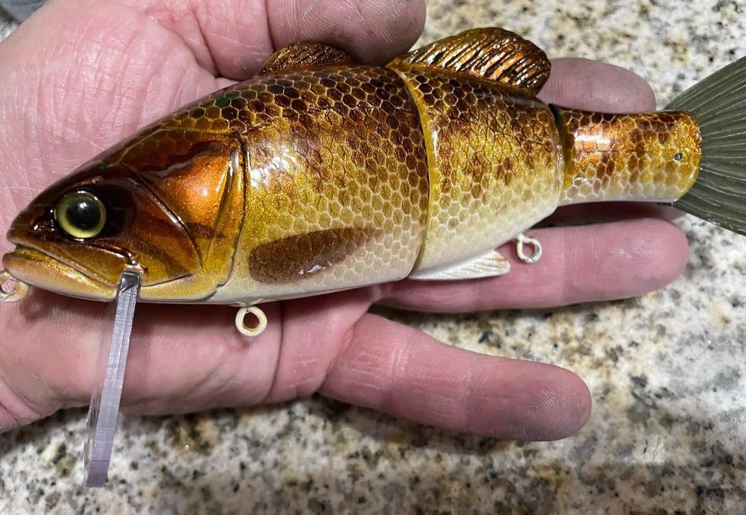 Appât De Pêche Trashy 11 Glide - KGB TSG Legend Chad Shad - 3.4oz - Résine - Neuf
